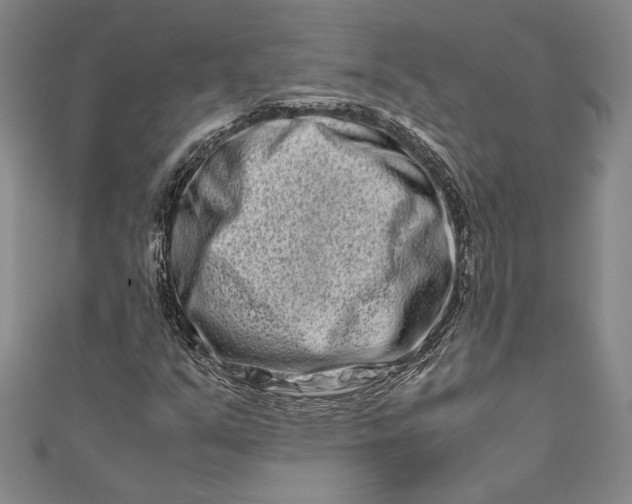 X0000111191351200907221100