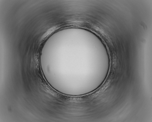 X0000111191354200907221100