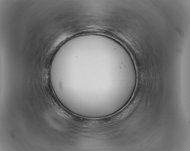 X0000111191355200907221100