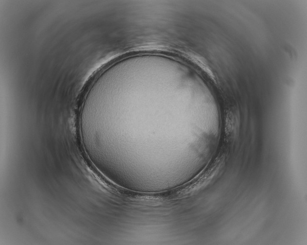 X0000111191356200907221100