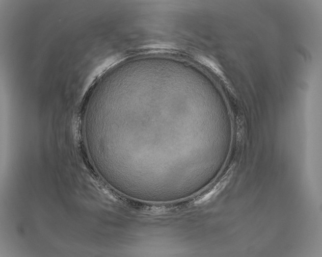 X0000111191357200907221100