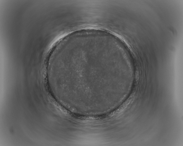 X0000111191359200907221100