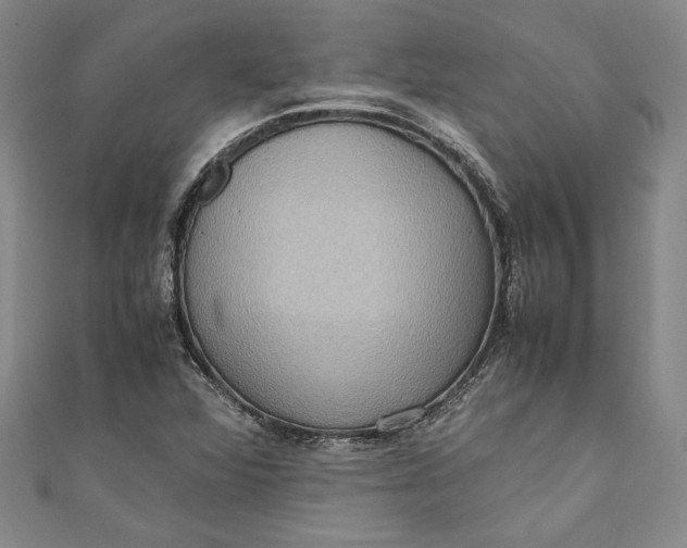 X0000111191360200907221100