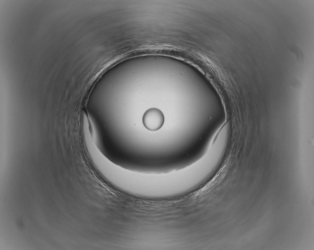 X0000111191361200907221100