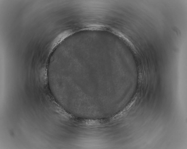 X0000111191362200907221100