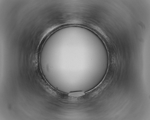 X0000111191364200907221100