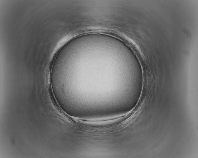 X0000111191365200907221100