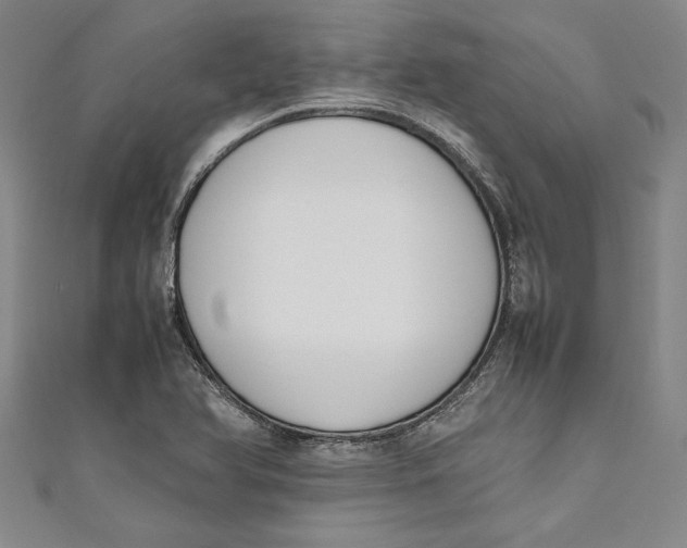 X0000111191366200907221100