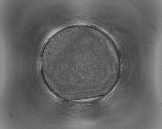 X0000111191367200907221100