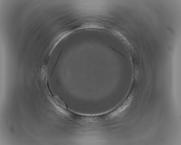 X0000111191369200907221100