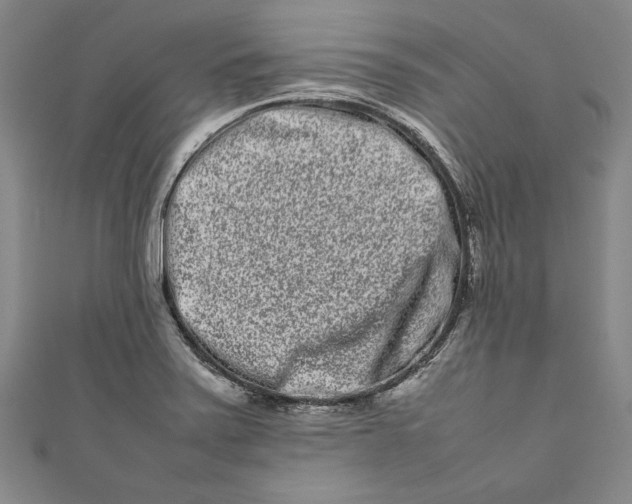 X0000111191371200907221100