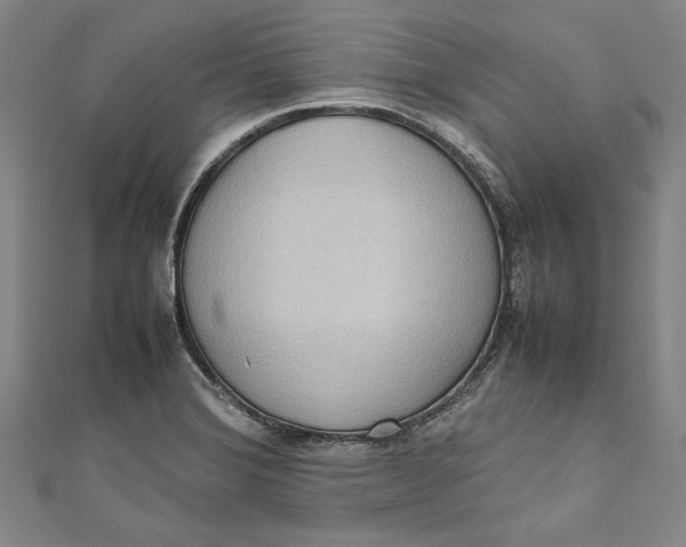 X0000111191372200907221100