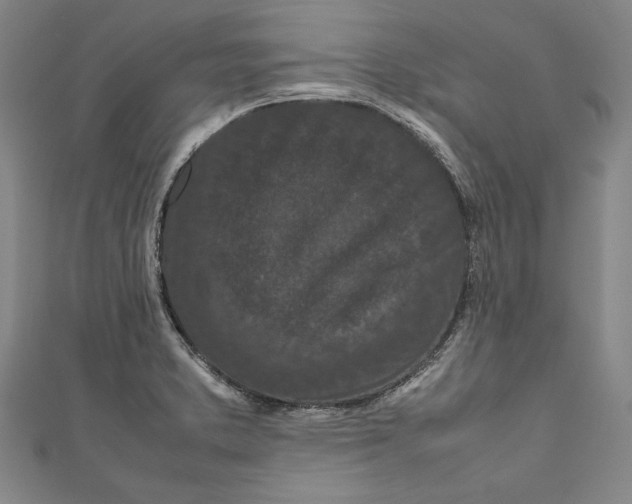 X0000111191373200907221100