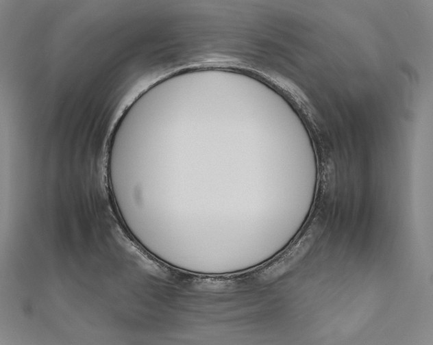 X0000111191374200907221100