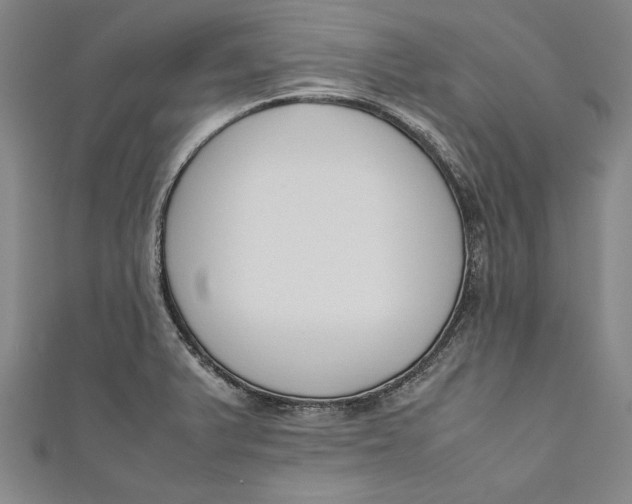 X0000111191375200907221100