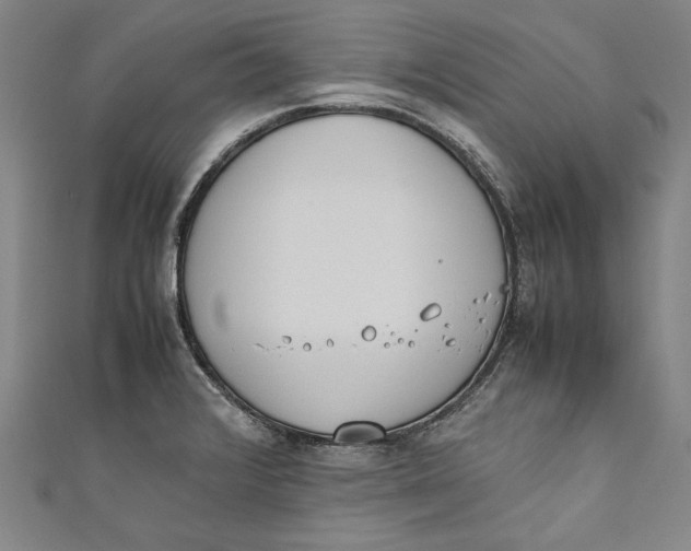 X0000111191376200907221100