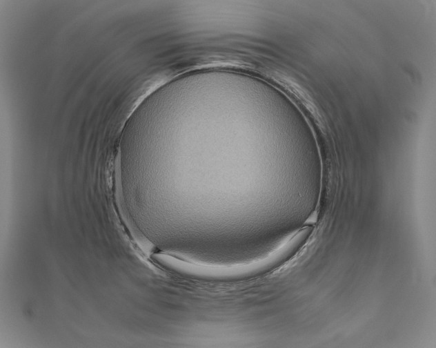 X0000111191377200907221100