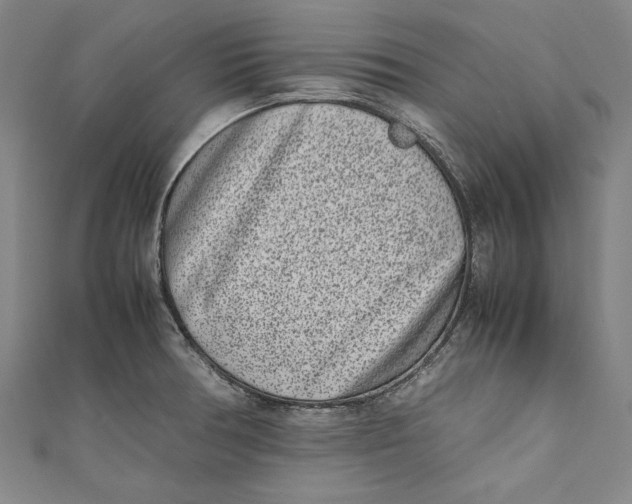 X0000111191378200907221100