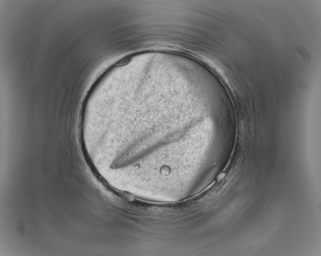 X0000111191379200907221100