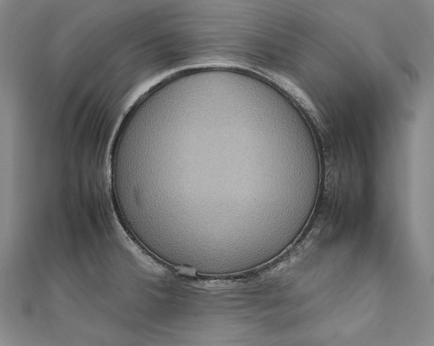 X0000111191380200907221100