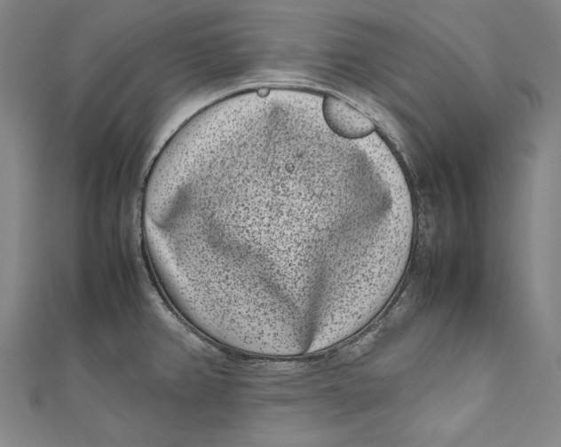 X0000111191382200907221100