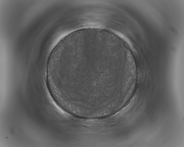 X0000111191383200907221100