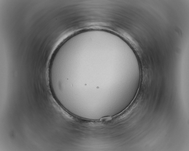 X0000111191384200907221100