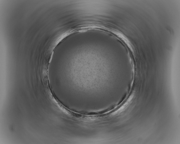 X0000111191385200907221100