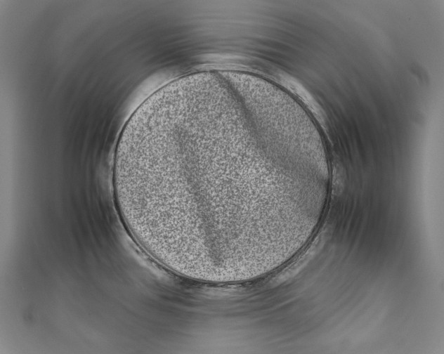 X0000111191386200907221100