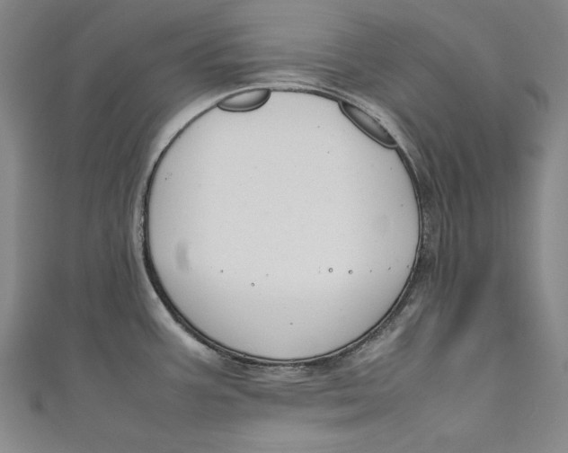 X0000111191387200907221100