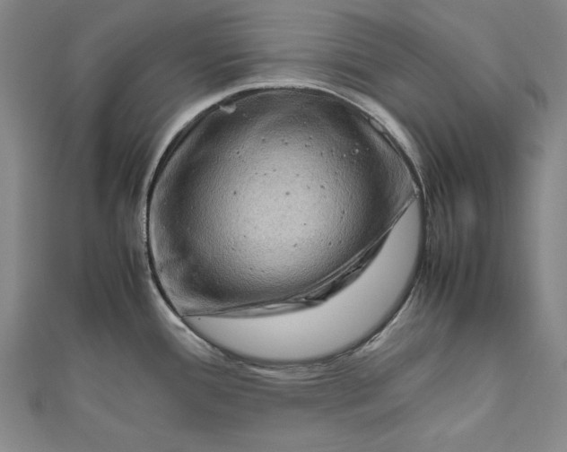 X0000111191388200907221100