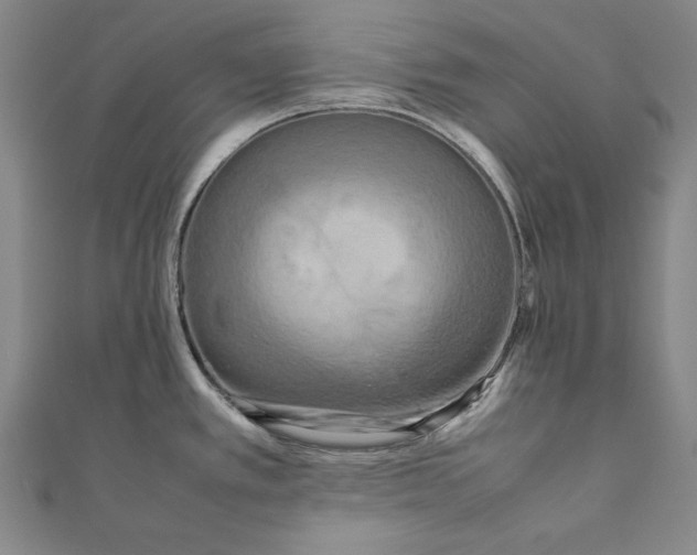 X0000111191389200907221100