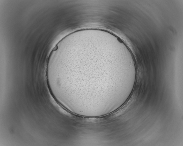 X0000111191390200907221100