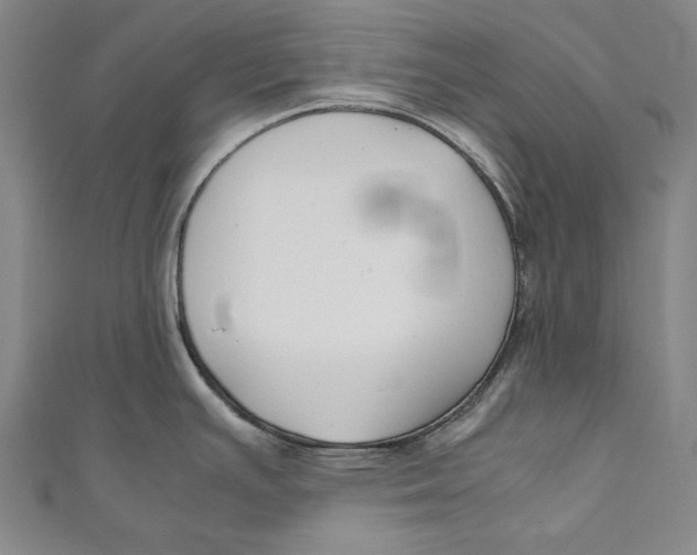 X0000111191391200907221100