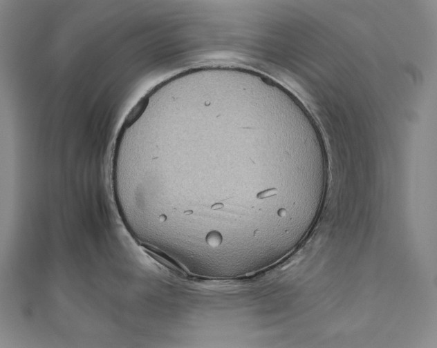 X0000111191392200907221100