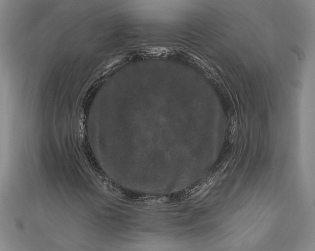 X0000111191394200907221059