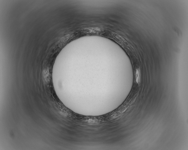 X0000111191395200907221059