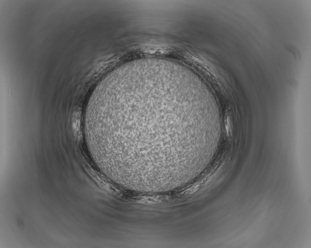 X0000111191396200907221059