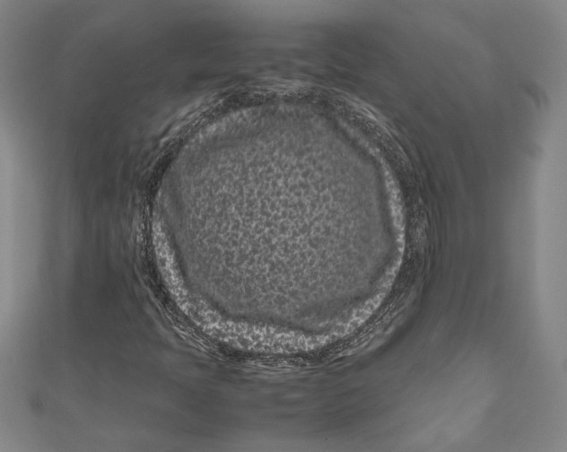 X0000111191397200907221059