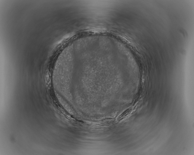 X0000111191398200907221059