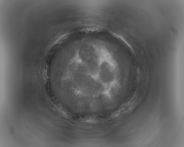 X0000111191399200907221059