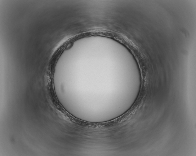 X0000111191400200907221059