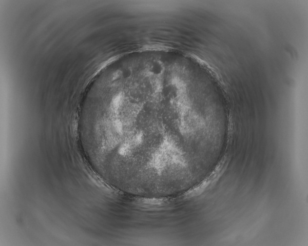 X0000111191401200907221059