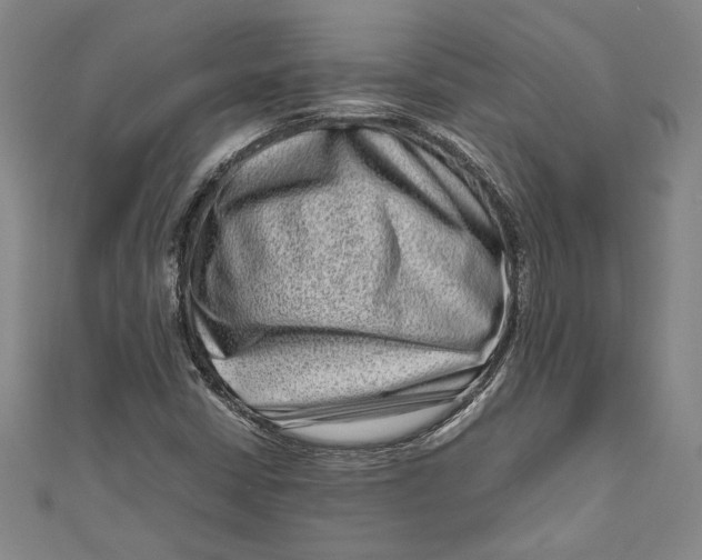 X0000111191402200907221059