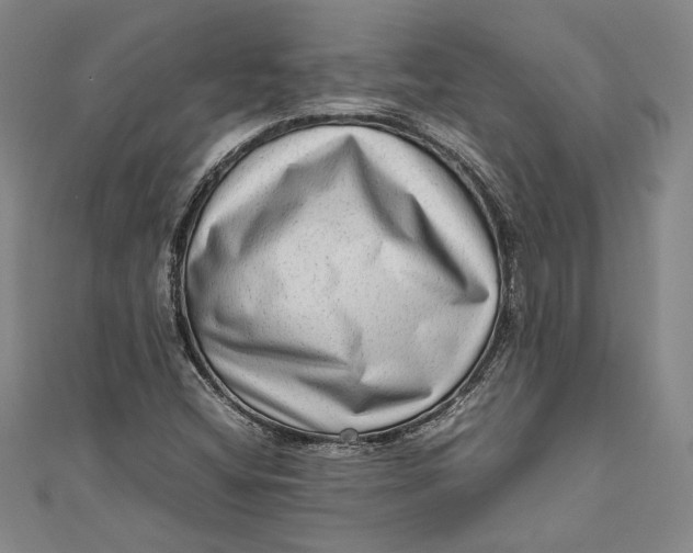 X0000111191404200907221059