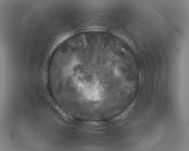 X0000111191405200907221059