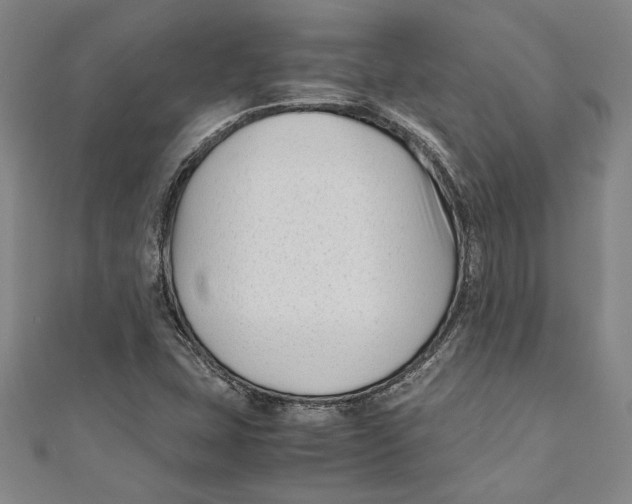 X0000111191407200907221059