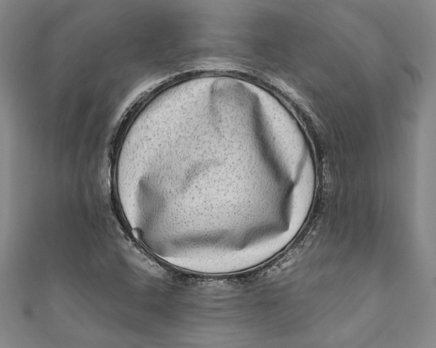 X0000111191408200907221059