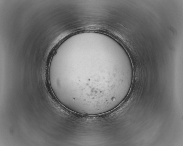 X0000111191410200907221059