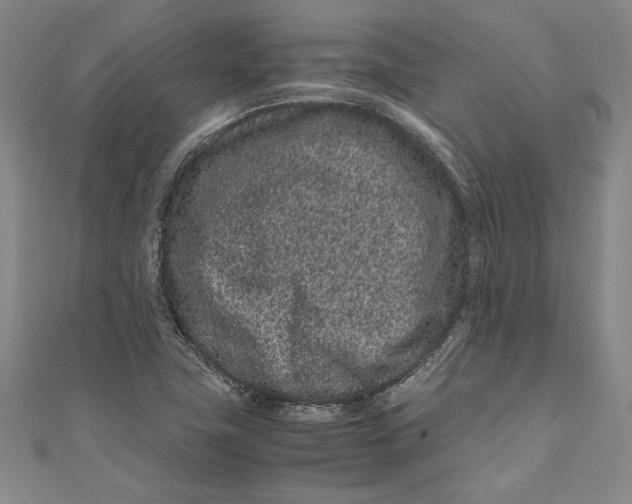 X0000111191411200907221059